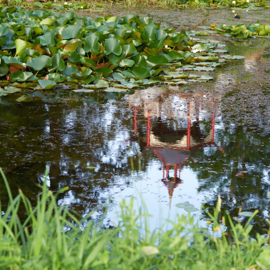 The Rockery in Water